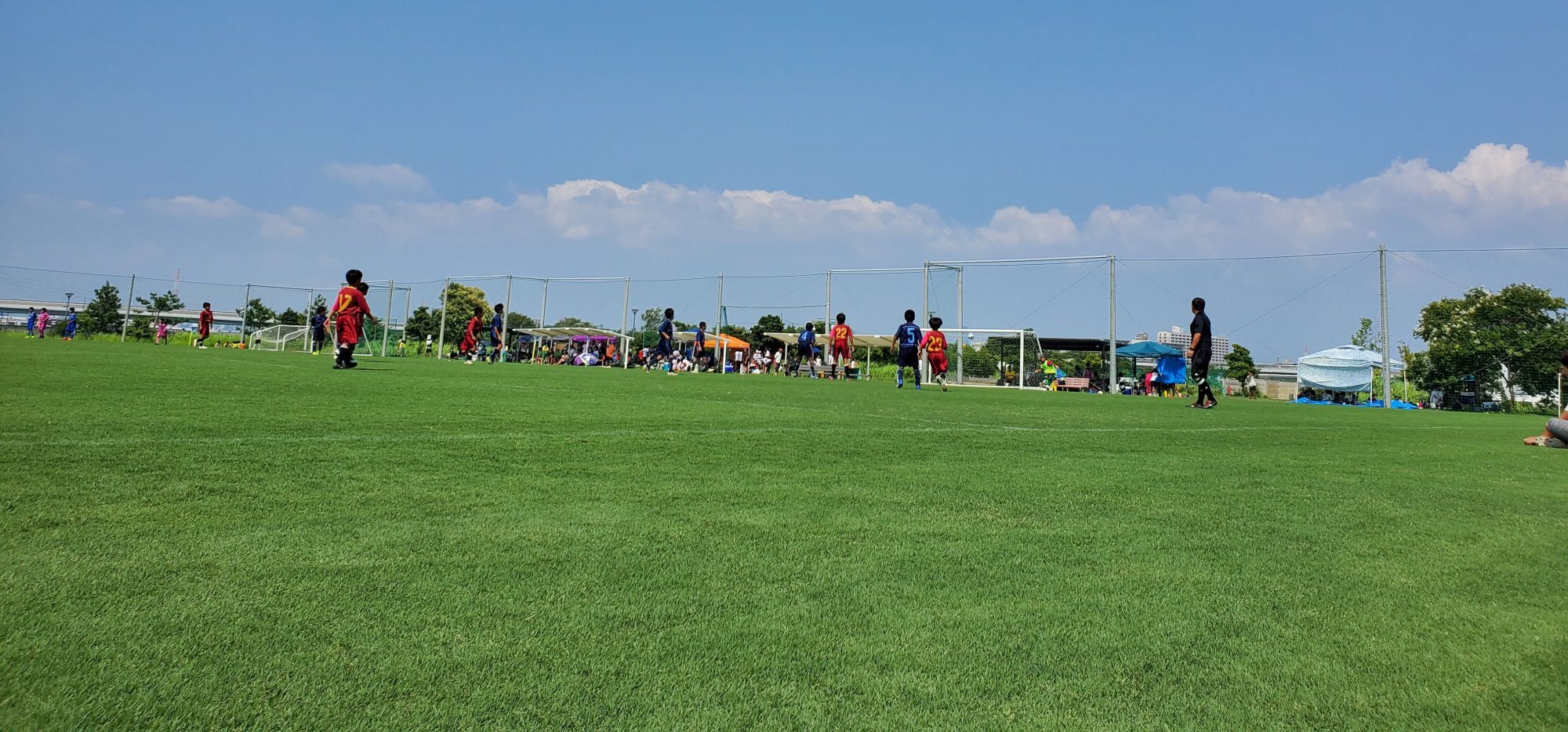 F.C. Brotes ボルティス